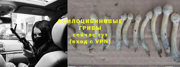 ГАЛЛЮЦИНОГЕННЫЕ ГРИБЫ Нея