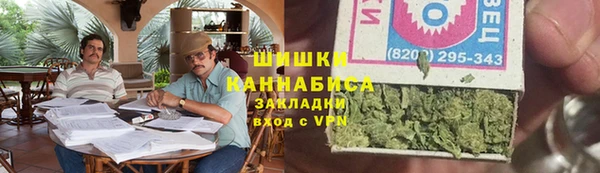 прущие грибы Алагир