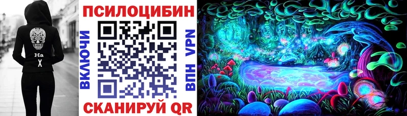 Галлюциногенные грибы Psilocybine cubensis  Иваново 