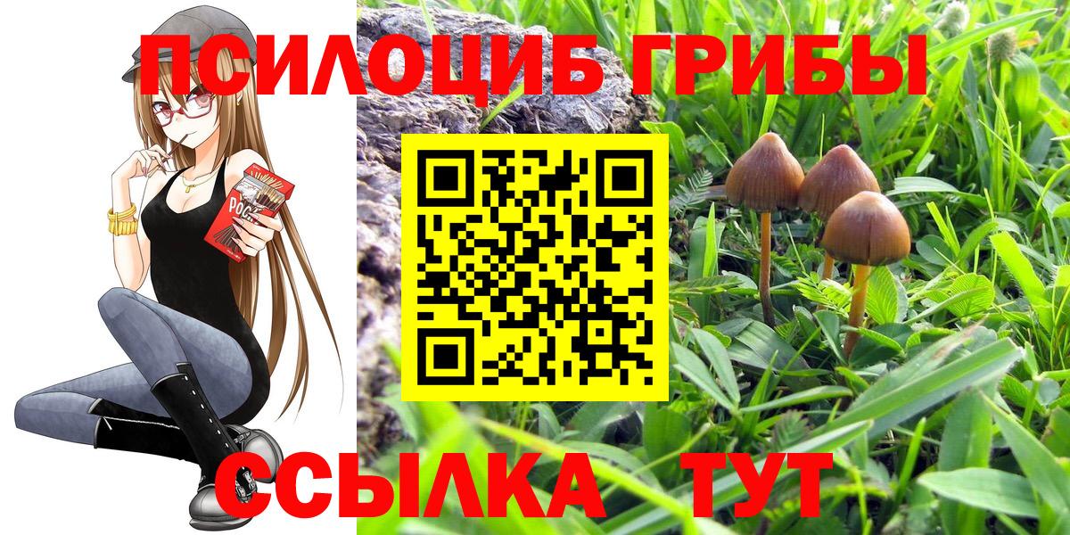 Галлюциногенные грибы GOLDEN TEACHER  Вход с VPN  Галлюциногенные грибы MAGIC MUSHROOMS  Иваново 